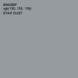 #969B9F - Star Dust Color Image